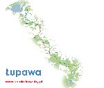splywy kajakowe rzeka Lupawa 